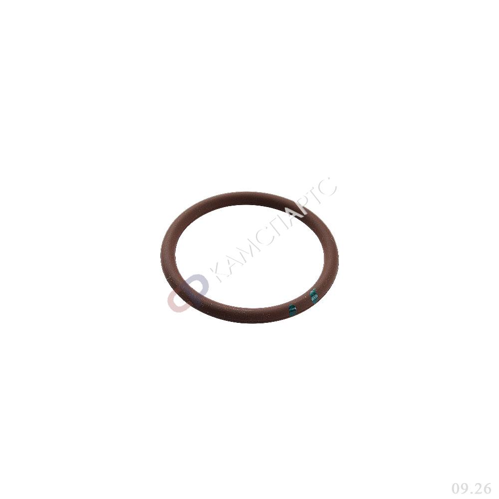 Кольцо уплотнительное (QSM) CP